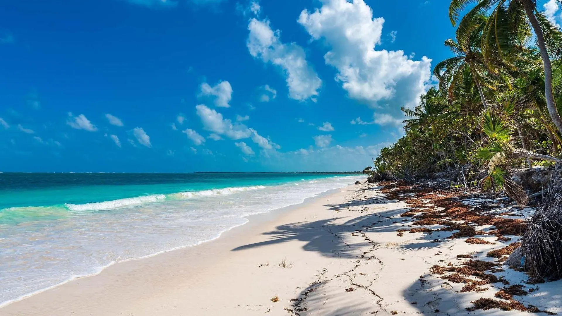 Villa Casa Nah Balam. Very Private. A Perfect Get Away! Tulum