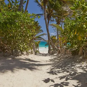 Dos Ceibas - Massage & Yoga Inclusive Tulum